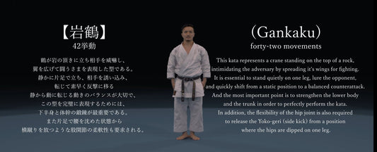 E09 - Gankaku - Individual