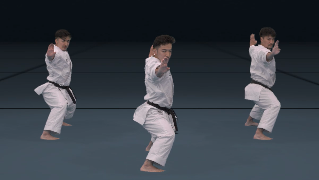 E0-Shoto Karate-Kata Complete pack (Kata 11vols.+free 1vol.for Tube training)